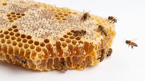 Honey